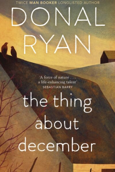 The Thing About December by Donal Ryan