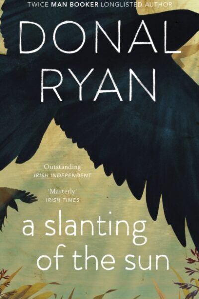 A Slanting of the Sun: Stories by Donal Ryan