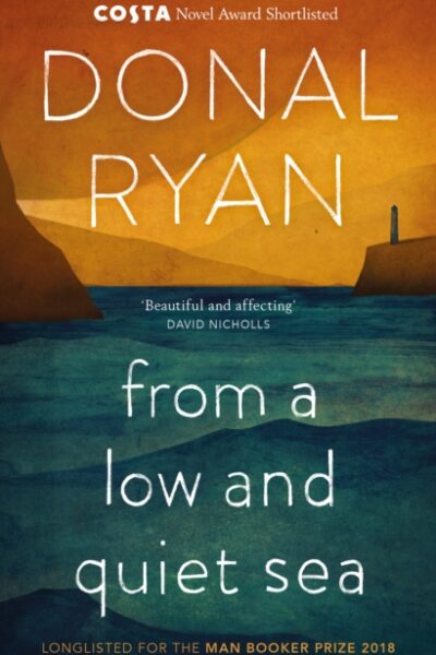 From a Low and Quiet Sea : From the Number 1 bestselling author of STRANGE FLOWERS by Donal Ryan
