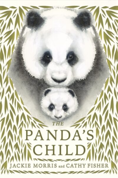 The Panda's Child by Jackie Morris