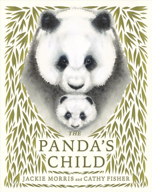 The Panda's Child by Jackie Morris