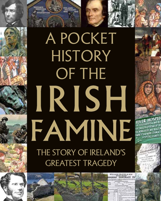 A Pocket History of the Irish Famine by Potter, Tony (Teapot Press)