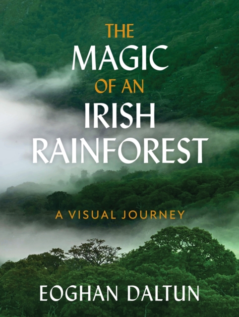 The Magic of an Irish Rainforest : A Visual Journey by Daltun, Eoghan
