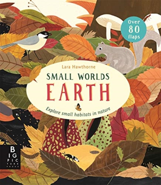 Small Worlds: Earth by Hawthorne, Lara