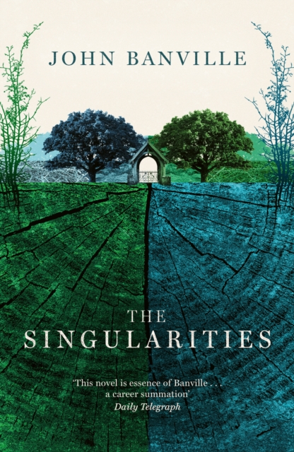 The Singularities by Banville, John