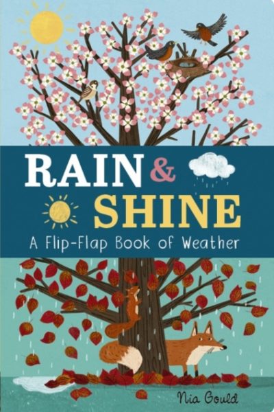 Rain & Shine: A Flip-Flap Book of Weather by Littleboy, Molly