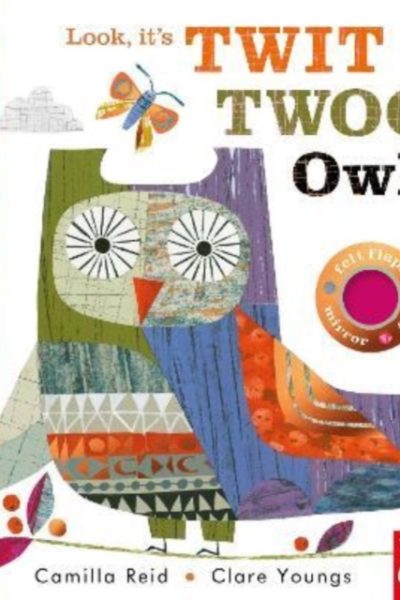 Look, It's Twit Twoo Owl by Youngs, Clare