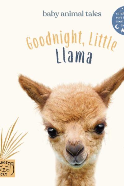 Goodnight Little Llama : Simple stories sure to soothe your little one to sleep by Wood, Amanda