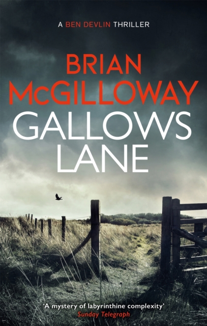 Gallows Lane : An ex con and drug violence collide in the borderlands of Ireland... by McGilloway, Brian