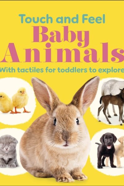 Touch and Feel Baby Animals : With Tactiles for Toddlers to Explore by DK