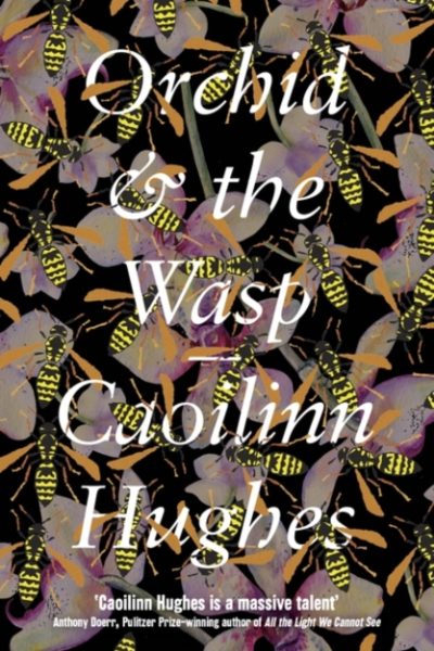 Orchid & the Wasp : 'This year’s Conversations with Friends' Irish Times by Hughes, Caoilinn