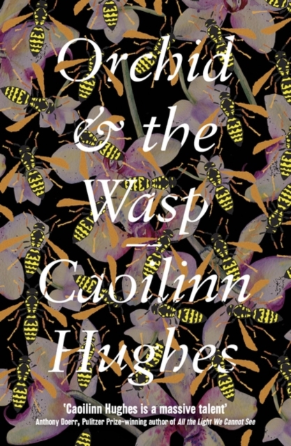 Orchid & the Wasp : 'This year’s Conversations with Friends' Irish Times by Hughes, Caoilinn