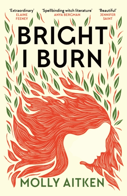 Bright I Burn by Aitken, Molly