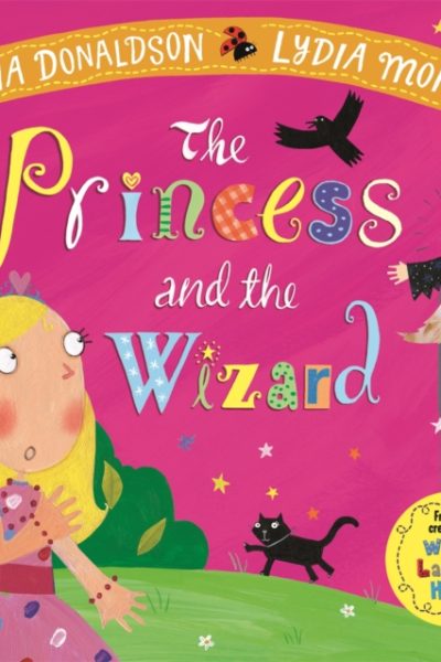 The Princess and the Wizard by Donaldson, Julia