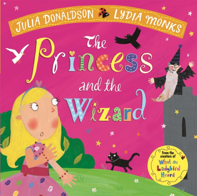 The Princess and the Wizard by Donaldson, Julia