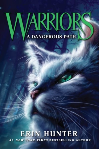 A Dangerous Path : Book 5 by Hunter, Erin