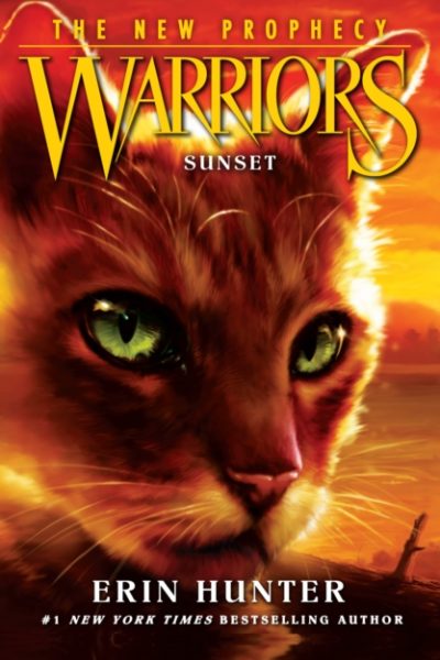 SUNSET : Book 6 by Hunter, Erin