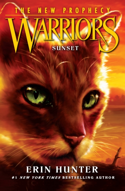 SUNSET : Book 6 by Hunter, Erin