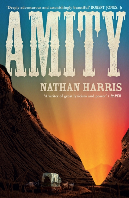 AMITY : from the Booker-longlisted author of The Sweetness of Water by Harris, Nathan