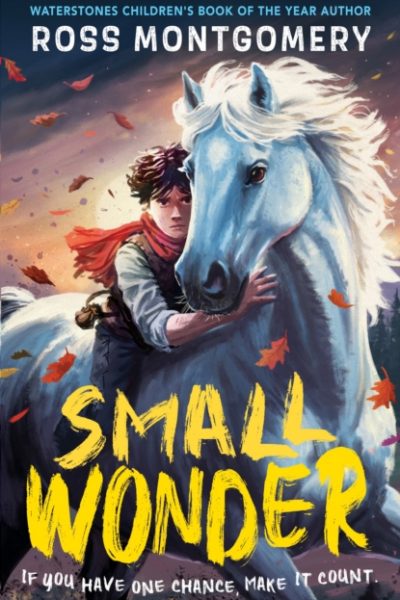 Small Wonder : The brand-new exciting adventure for 9-12-year-olds from the award-winning, bestselling author of I Am Rebel by Montgomery, Ross