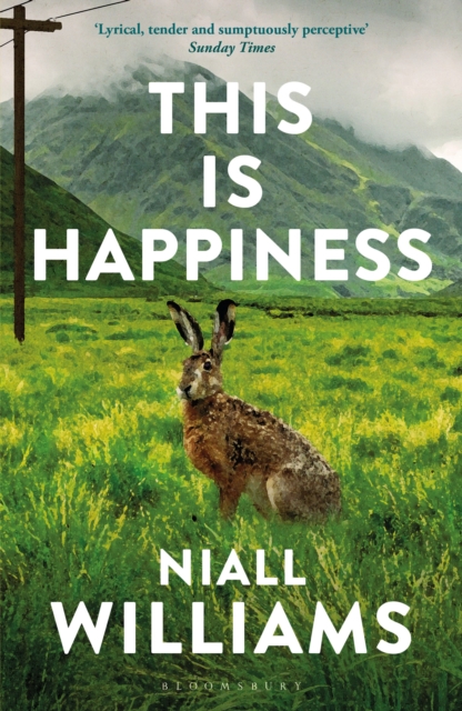 This Is Happiness : By the author of Four Letters of Love, now a major film starring Helena Bonham Carter and Pierce Brosnan by Williams, Niall