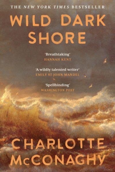 Wild Dark Shore by McConaghy, Charlotte