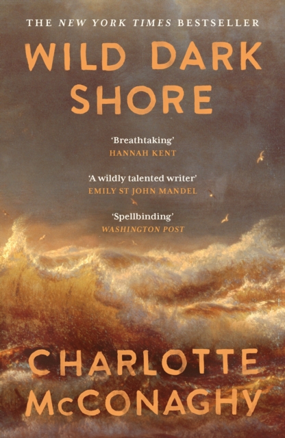 Wild Dark Shore by McConaghy, Charlotte