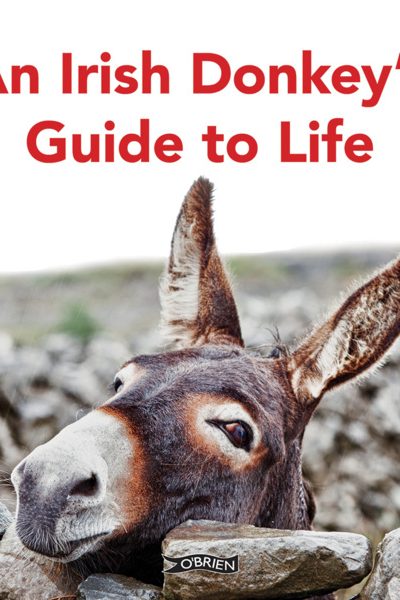 An Irish Donkey’s Guide to Life by O'Connor, Sarah