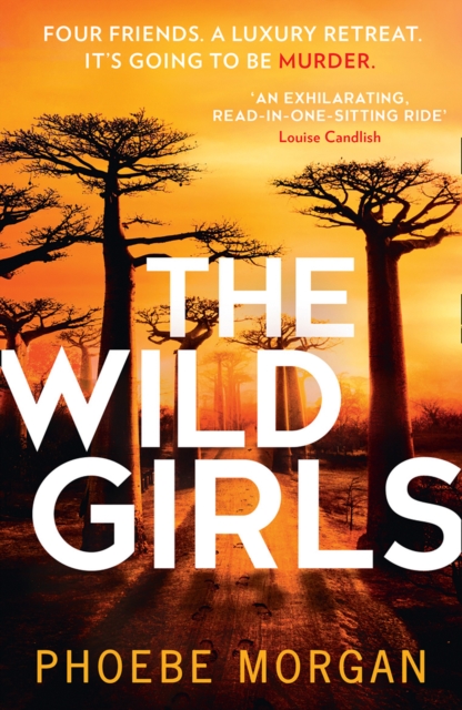 The Wild Girls by Morgan, Phoebe