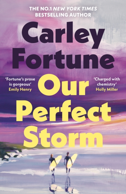 Our Perfect Storm by Fortune, Carley