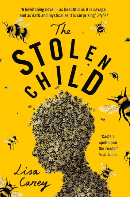 The Stolen Child by Carey, Lisa