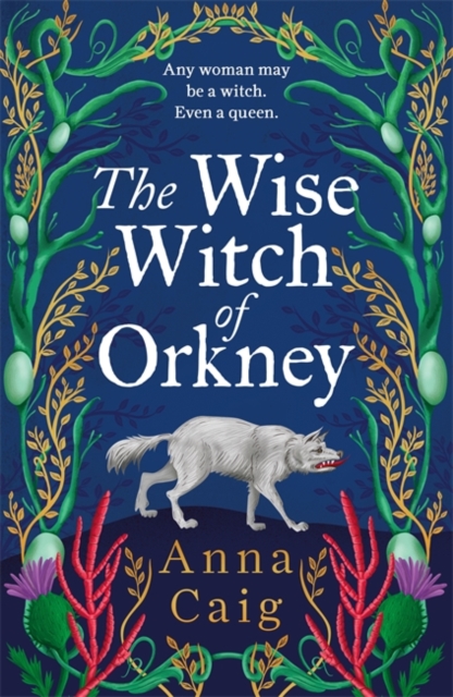 The Wise Witch of Orkney : A spell-binding debut novel about Scotland’s witch-hunting hysteria by Caig, Anna