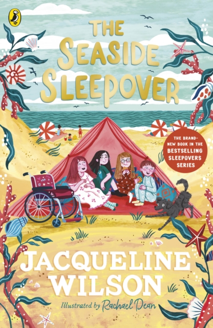 The Seaside Sleepover by Wilson, Jacqueline