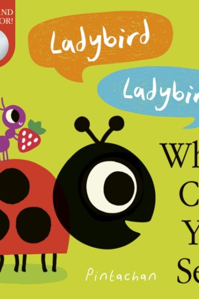 Ladybird! Ladybird! What Can You See? by Hepworth, Amelia