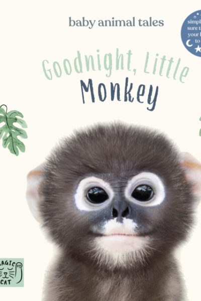 Goodnight, Little Monkey : Simple stories sure to soothe your little one to sleep by Wood, Amanda