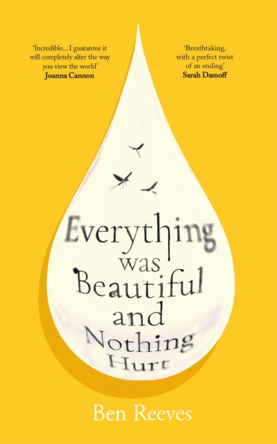 Everything was Beautiful and Nothing Hurt : 'Incredible... I guarantee it will completely alter the way you view the world' Joanna Cannon by Reeves, Ben